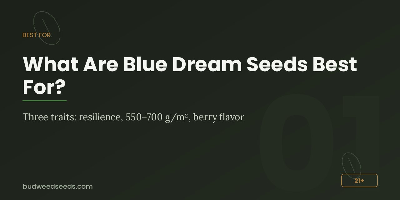 Best-for panel for Blue Dream seeds: three traits, resilience, 550–700 g/m² and berry flavor