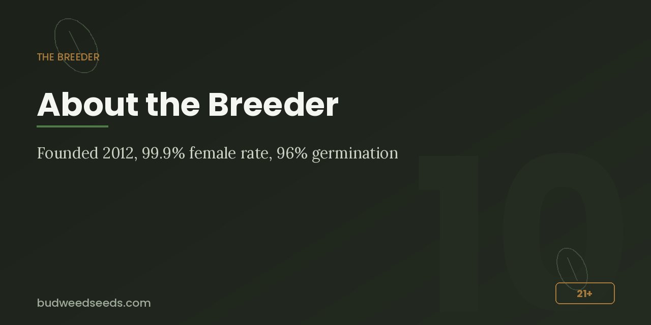 Breeder panel for Bud Weed Seeds: founded 2012, 99.9% female rate, 96% germination