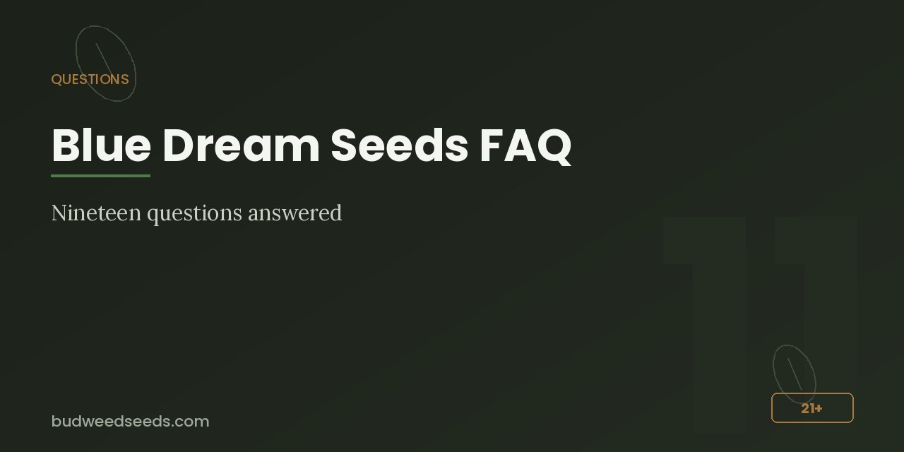 Questions panel introducing nineteen answered Blue Dream seed questions