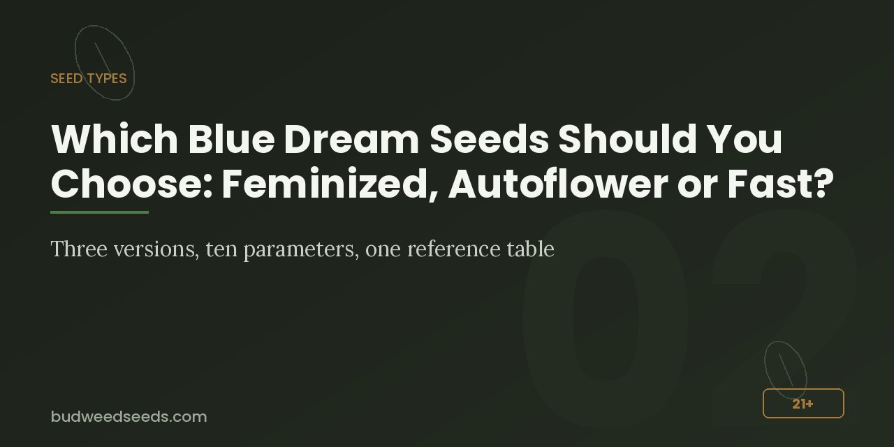Seed types panel comparing feminized, autoflower and fast Blue Dream across ten parameters