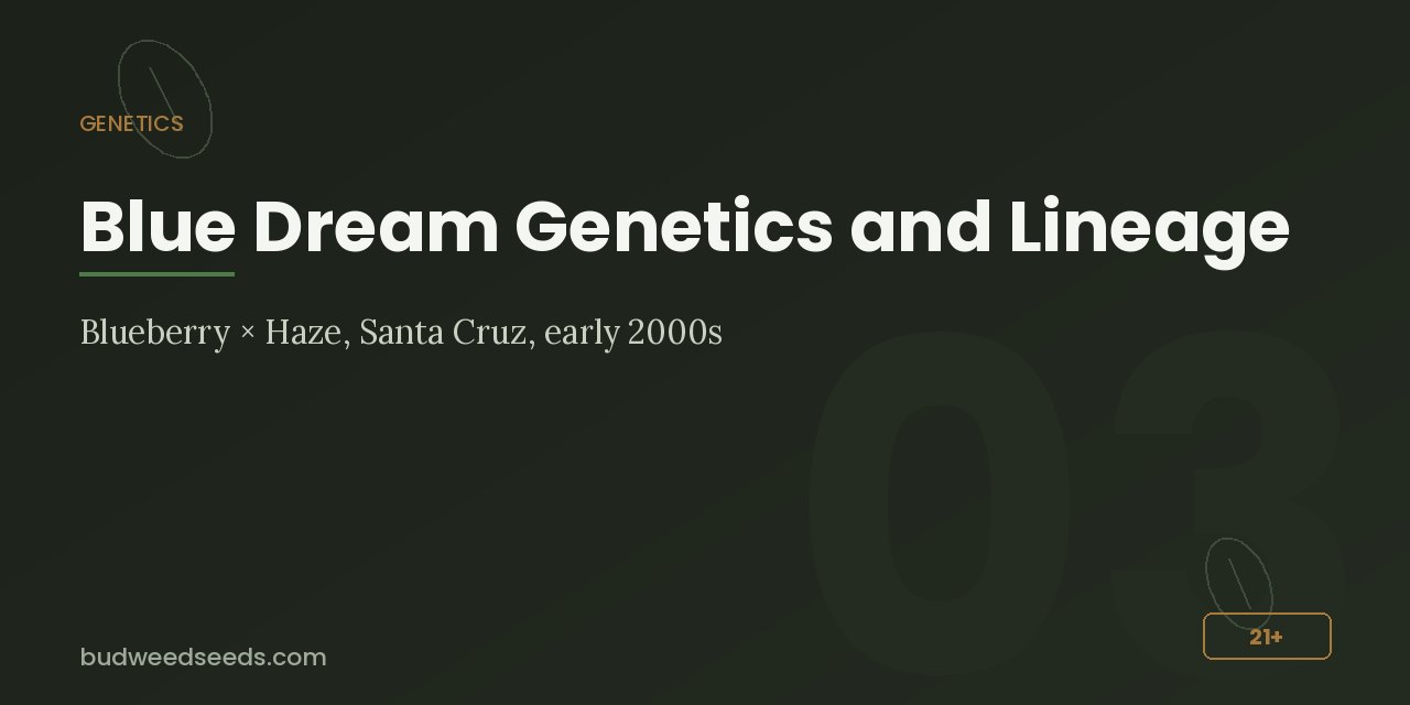 Genetics panel for Blue Dream: Blueberry × Haze, Santa Cruz, early 2000s