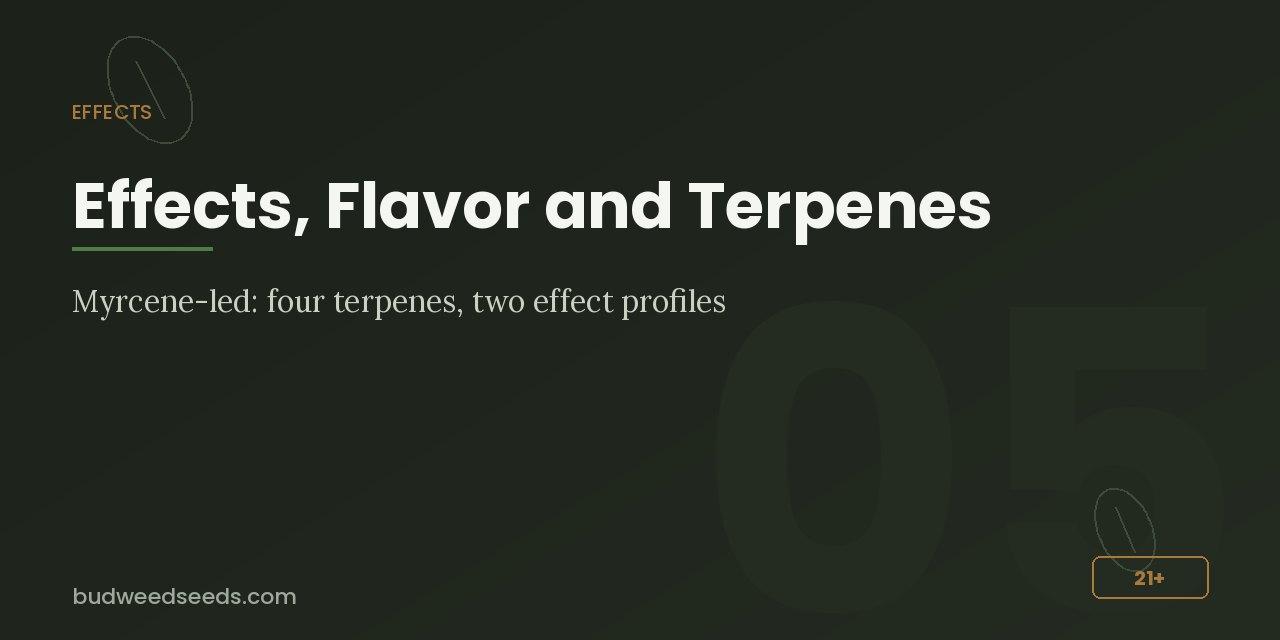 Effects panel for Blue Dream: myrcene-led profile with four terpenes and two effect profiles