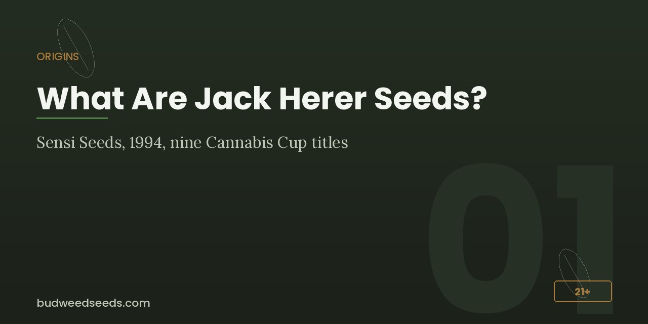 Origins panel for Jack Herer seeds: Sensi Seeds, 1994, nine Cannabis Cup titles