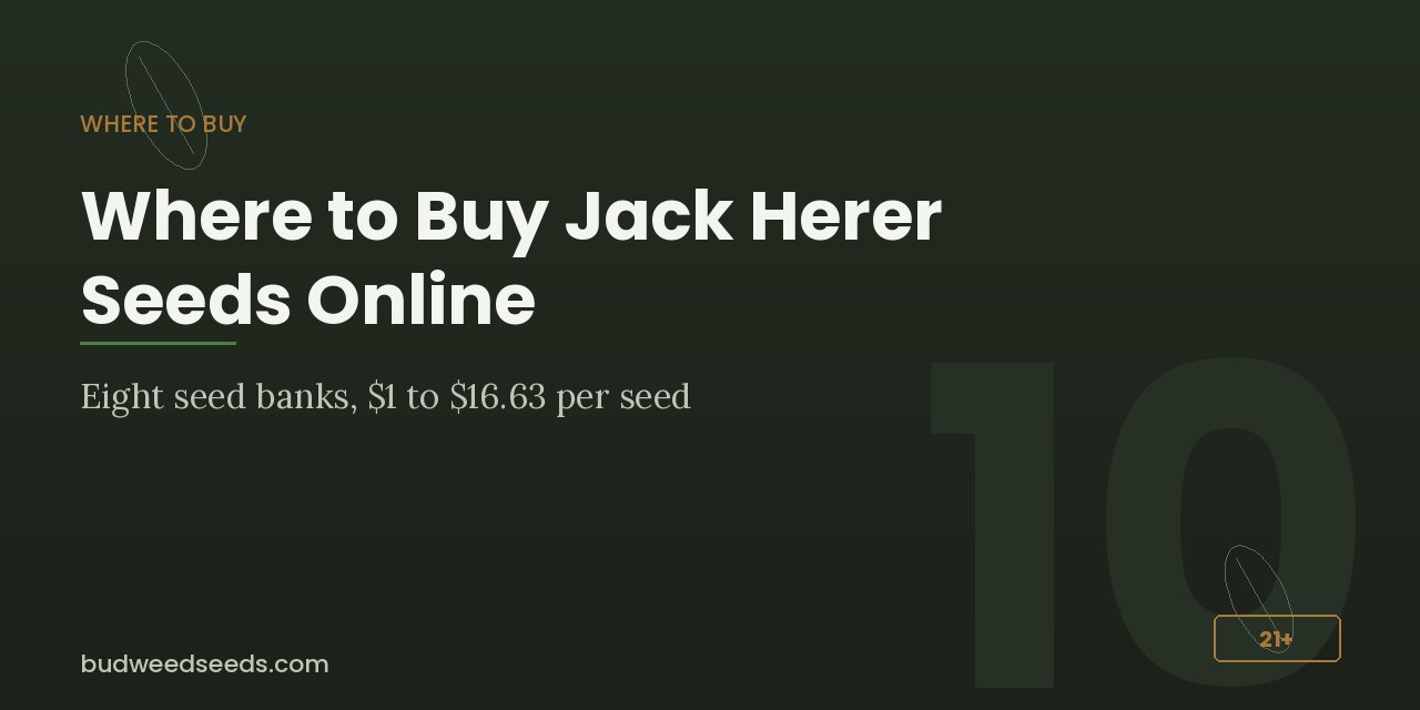 Where-to-buy panel for Jack Herer seeds comparing eight seed banks at $1 to $16.63 per seed