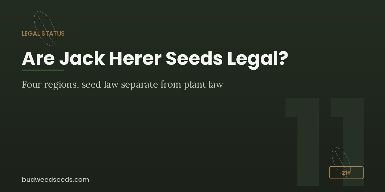 Legal status panel for Jack Herer seeds covering four regions where seed law is separate from plant law