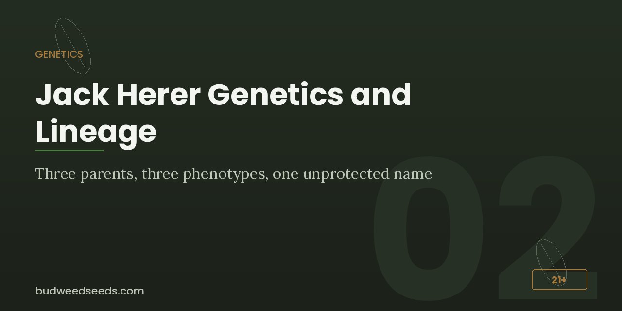 Genetics panel for Jack Herer: three parents, three phenotypes, one unprotected name
