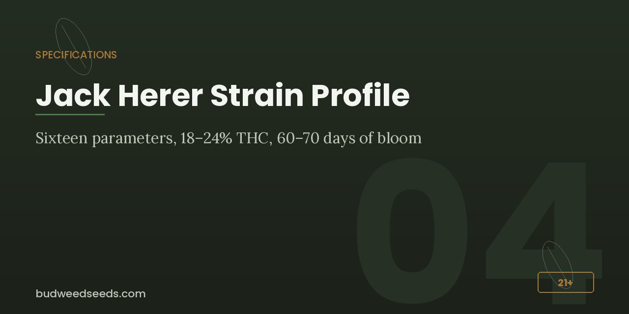 Specifications panel for Jack Herer listing sixteen parameters, 18–24% THC and 60–70 days of bloom