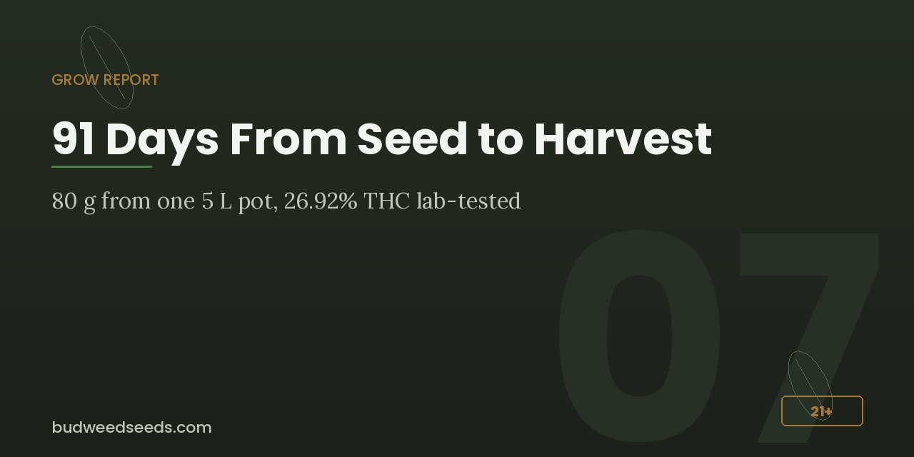 Grow report panel for Jack Herer: 91 days from seed to harvest, 80 g from one 5 L pot, 26.92% THC lab-tested
