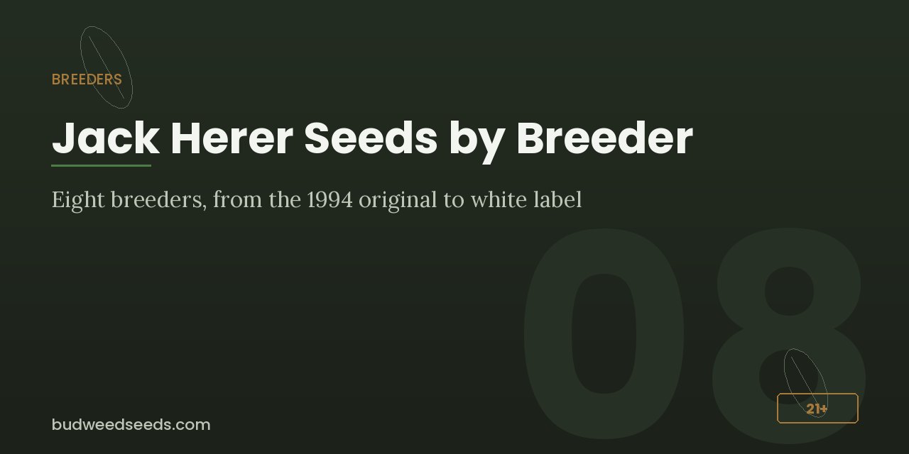 Breeder comparison panel for Jack Herer listing eight breeders, from the 1994 original to white label