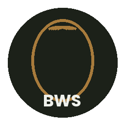 Bud Weed Seeds logo, a cannabis seed outline in amber on dark green