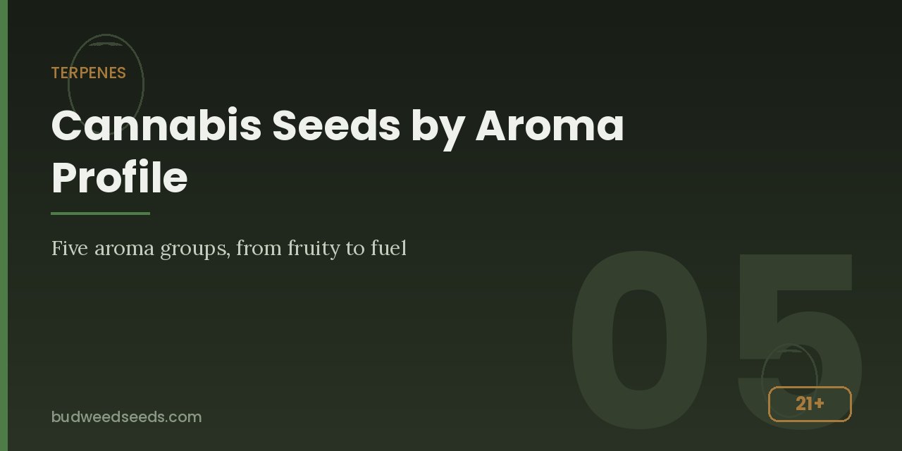 Panel listing five cannabis terpene groups from fruity to fuel
