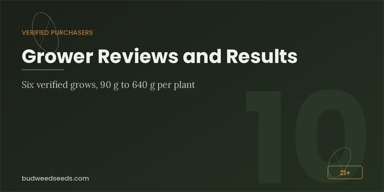 Reviews panel for White Widow with six verified grows reporting 90 g to 640 g per plant