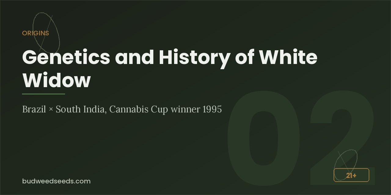 Origins panel for White Widow genetics: Brazilian sativa crossed with South Indian indica, Cannabis Cup winner 1995