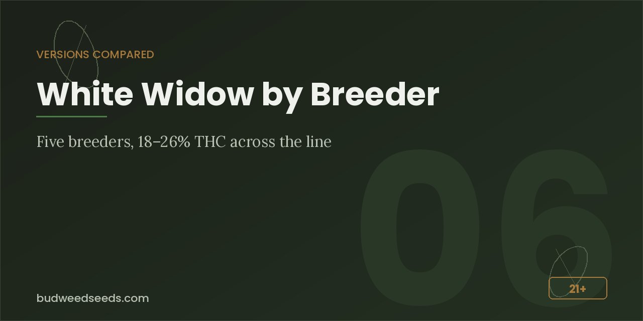 Breeder comparison panel for White Widow listing five breeders and 18–26% THC across the line