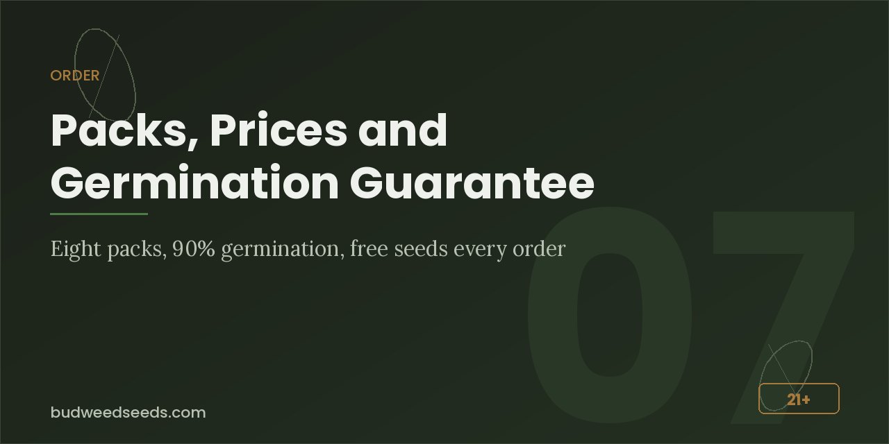 Order panel for White Widow seeds showing eight packs, 90% germination guarantee and free seeds with every order